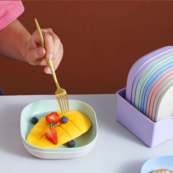 Combo Deal - 4 Section Spice Container Box & Multi-function Spit Bone 10 Plate Set Kitchen Storage Organizer (Random color)