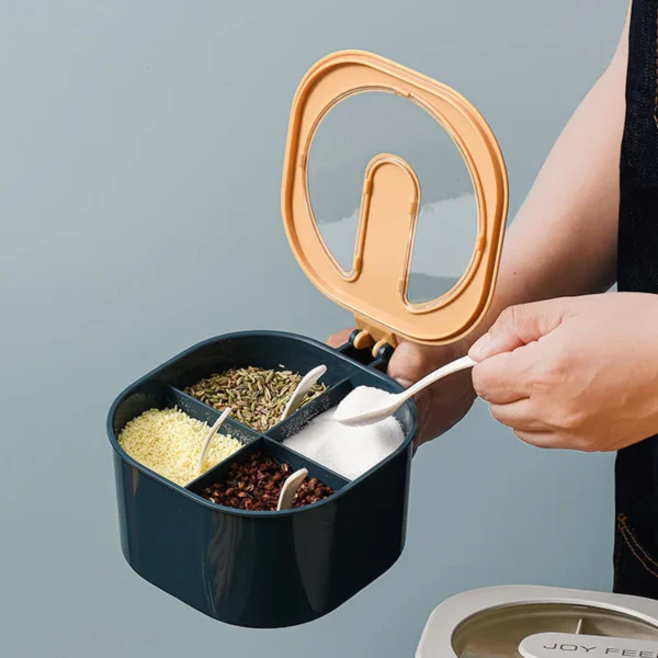 Combo Deal - 4 Section Spice Container Box & Multi-function Spit Bone 10 Plate Set Kitchen Storage Organizer (Random color)
